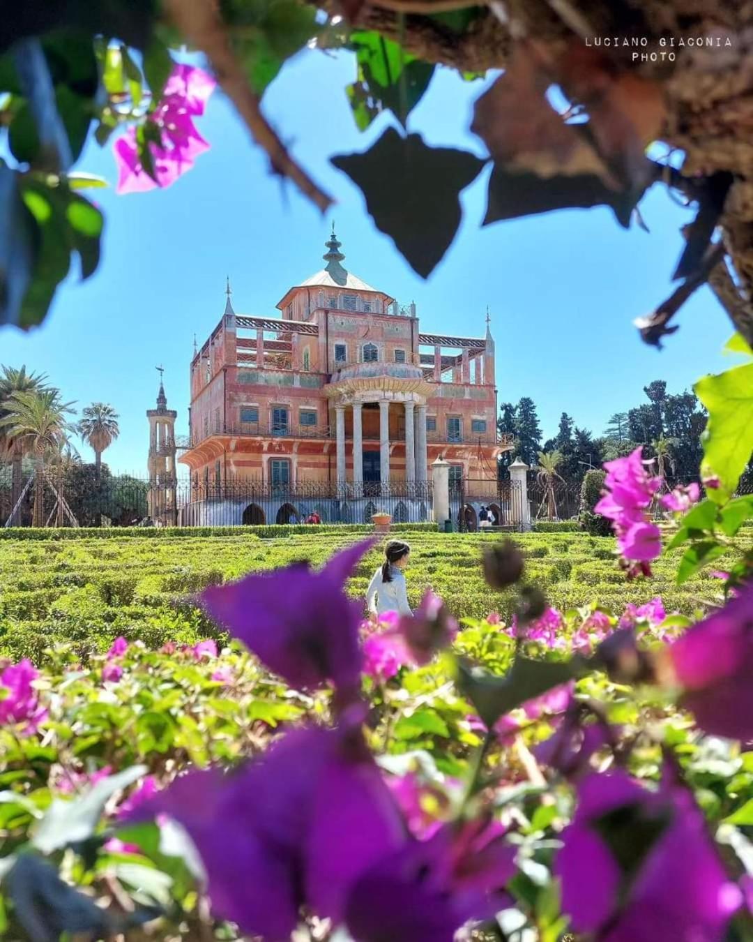 Aurigio Daire Palermo Dış mekan fotoğraf